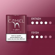 CAMEL STICKS BURGUNDY