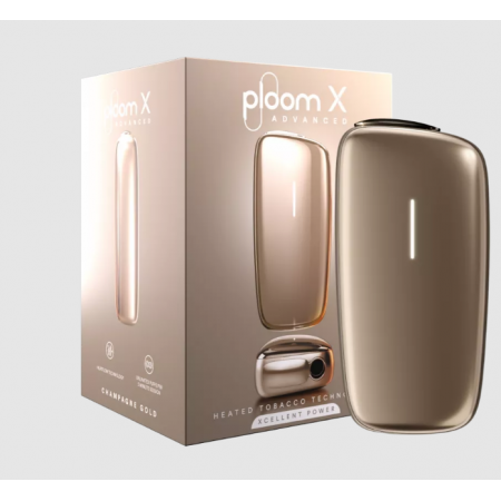 PLOOM STARTER KIT ADVANCED CHAMPAGNE GOLD